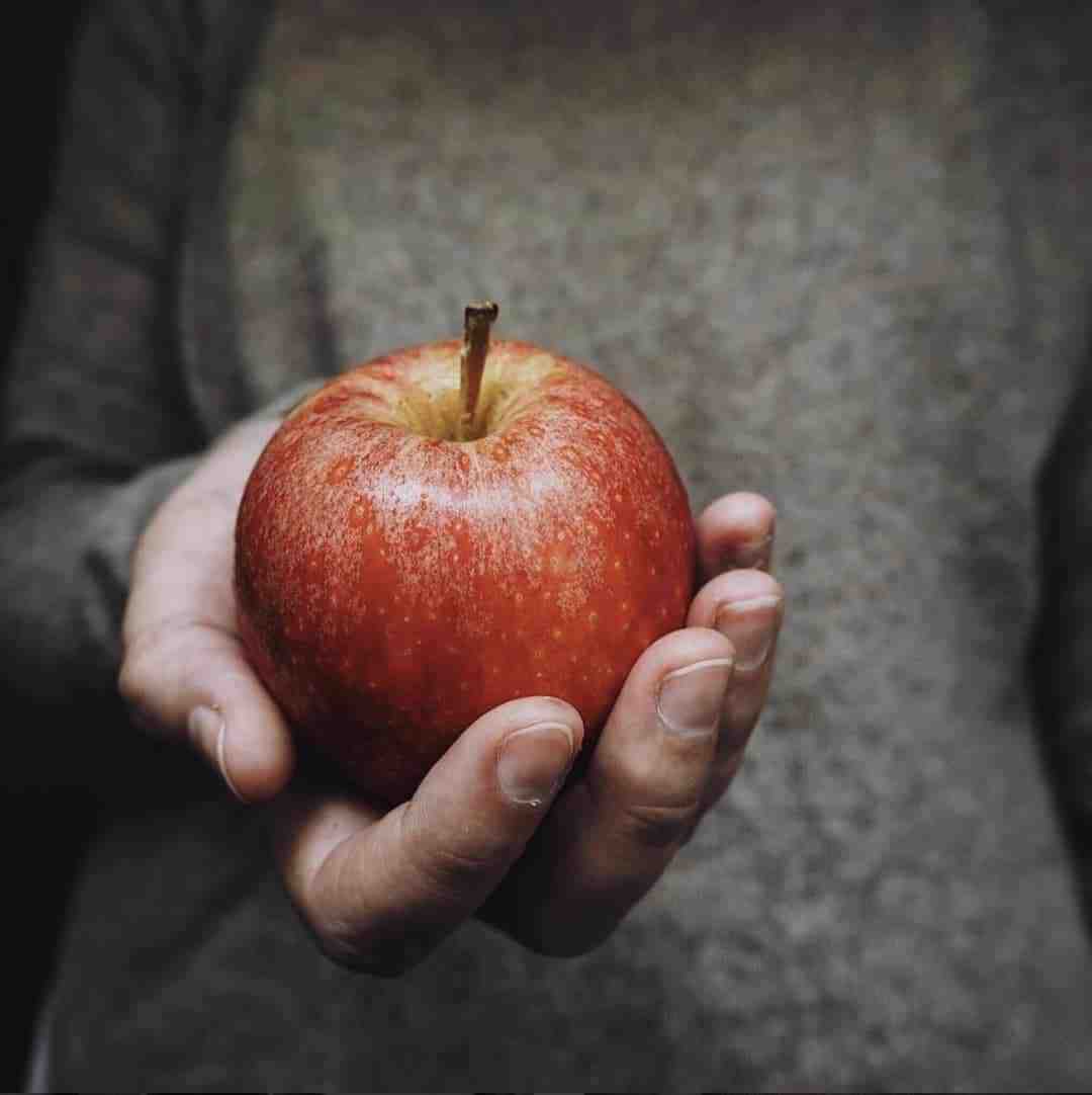 love this beautiful red apple in hand simple image. Slow and seasonal living in Snowdonia - meet creative business coach, marketing mentor and blogger Simple and Season Kayte Ferris. She shares a little of the story behind her slow living lifestyle in Snowdonia as well as tips for achieving a more soulful lifestyle wherever you live