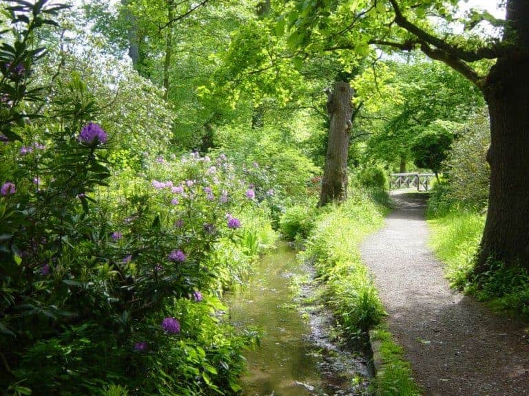 woodland gardens bushy park