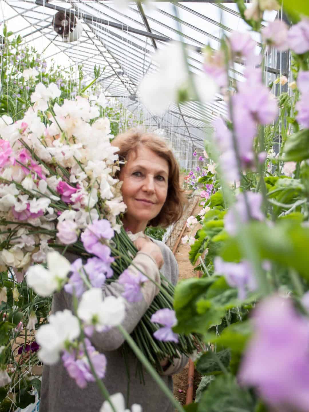 rosebie morton founder of the real flower company with armfuls of sweet peas