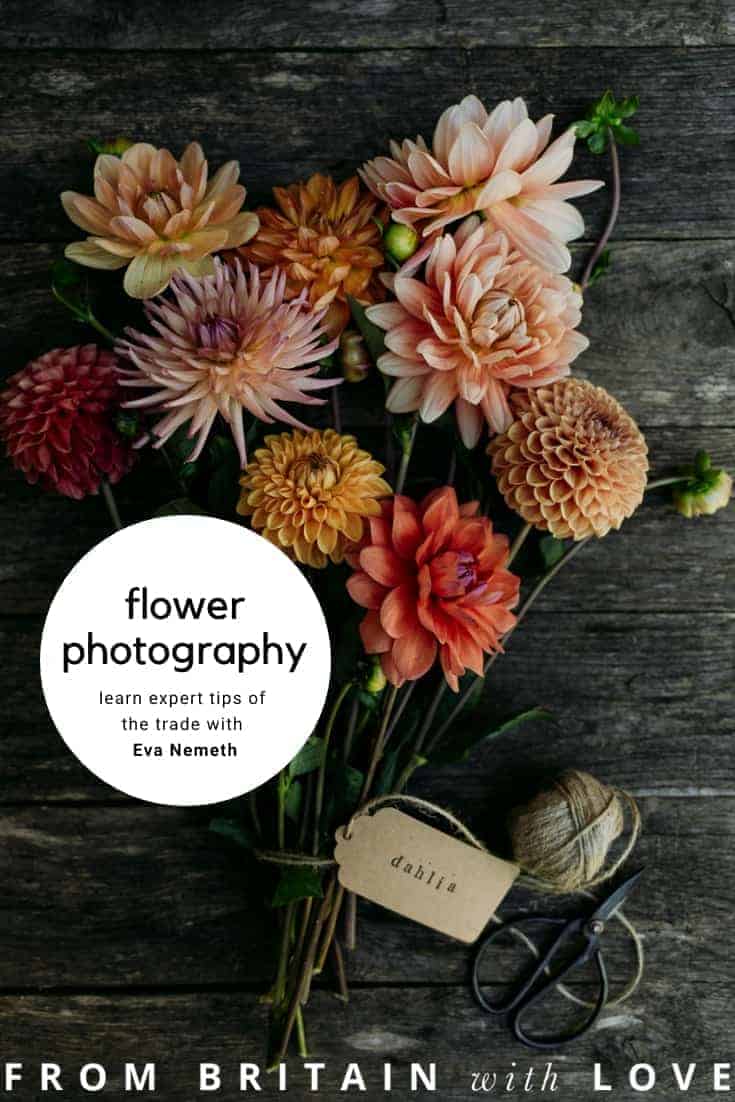 dahlias flatlay still life instagram photography - flower photography tips and ideas from photographer Eva Nemeth including expert tips on how to create depth of field, work with light, texture, aperture and f stops to take beautiful flower and garden photographs #flowerphotography #photography #tips #frombritainwithlove #dahlias
