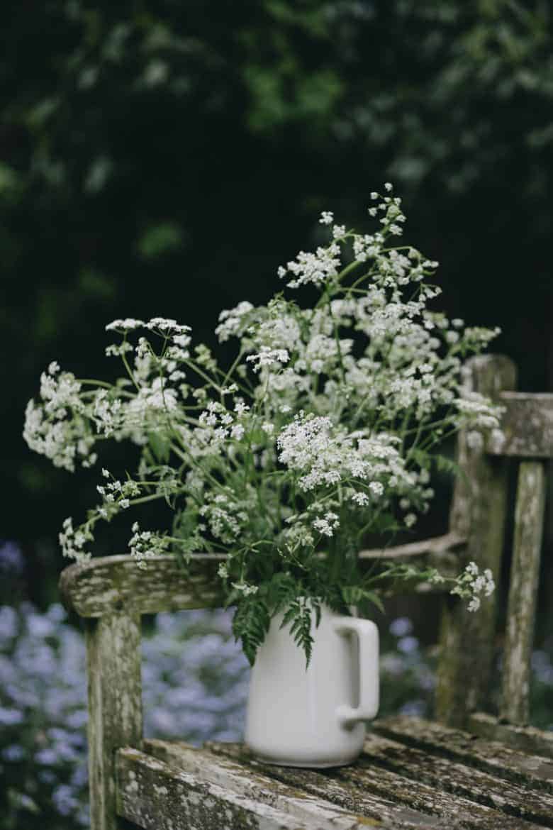cottage garden bench with white country flowers in jug queen annes lace- flower photography tips and ideas from photographer Eva Nemeth including expert tips on how to create depth of field, work with light, texture, aperture and f stops to take beautiful flower and garden photographs #flowerphotography #photography #tips #frombritainwithlove #queenanneslace #cottagegarden