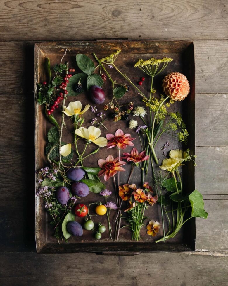 autumn flowers photography card by eva nemeth