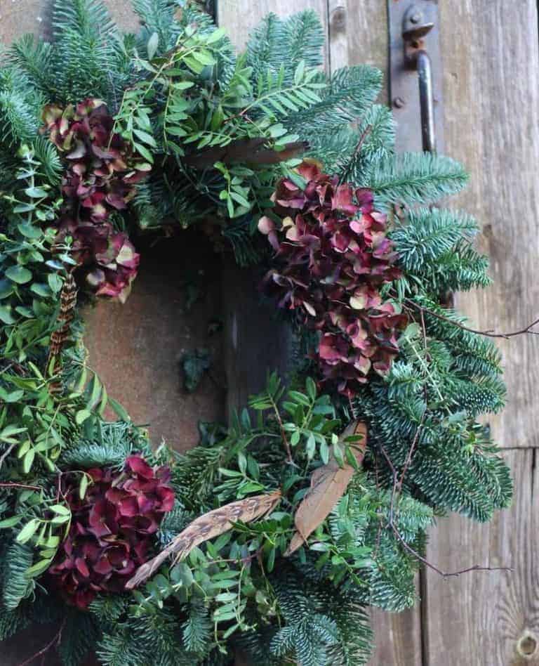 love this fresh fir, pheasant feather and deep red hydrangea christmas wreath by Pod & Pip. Click through for more beautiful and simple to make ideas for your own christmas wreaths. #frombritainwithlove #christmaswreath #creativechristmas #naturaldecorations #foraged #homemadechristmas