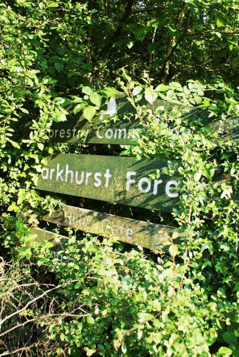 parkhurst forest isle of wight