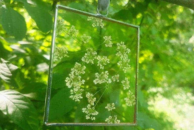paly glass pressed flower frames