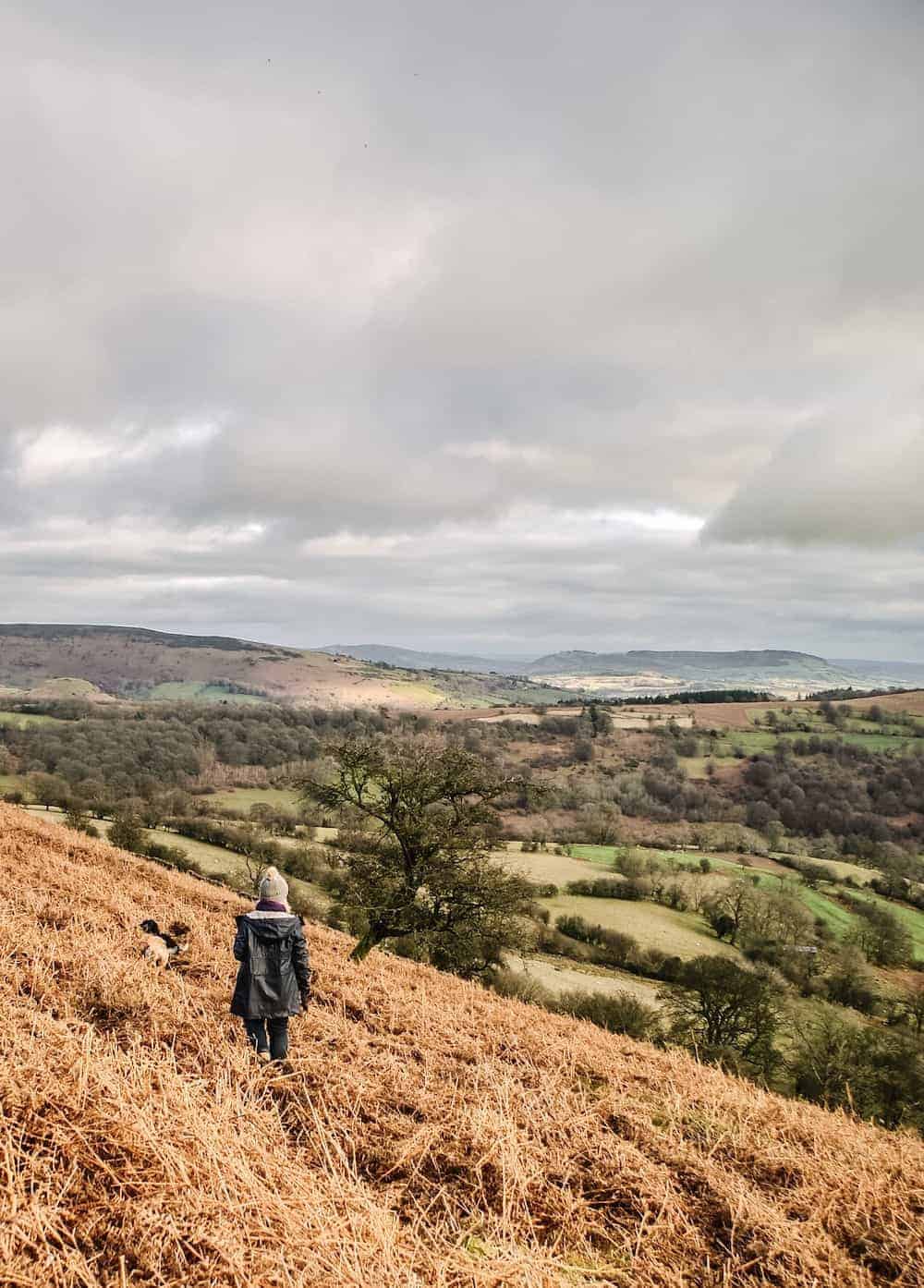 dog walking in the brecon beacons in wales near the black mountains between Abergavenny and Llanthony. Click through to see more images from our stay as well as inside shots of beautiful modern rustic Patrishow Farm where we stayed