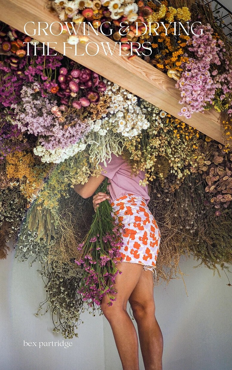 growing and drying flowers digital guide by bex partridge