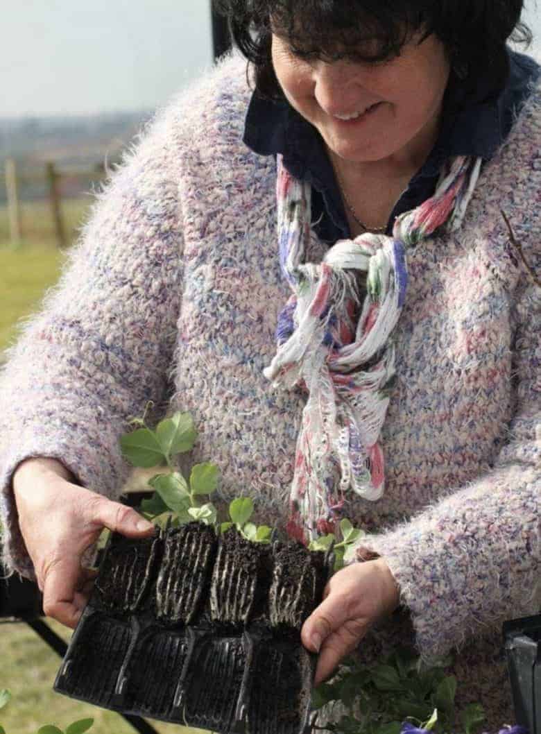 sustainable garden ideas with gardener's question time expert Pippa Greenwood. Click through for Pippa's top 10 ways to garden more sustainably and organically including biological pest control, compostable plant pots, naturally resistant plant varieties and critters to help control whitefly and more. #sustainable #gardenideas #pippagreenwood #organic #gardening #frombritainwithlove #ideas #gardening