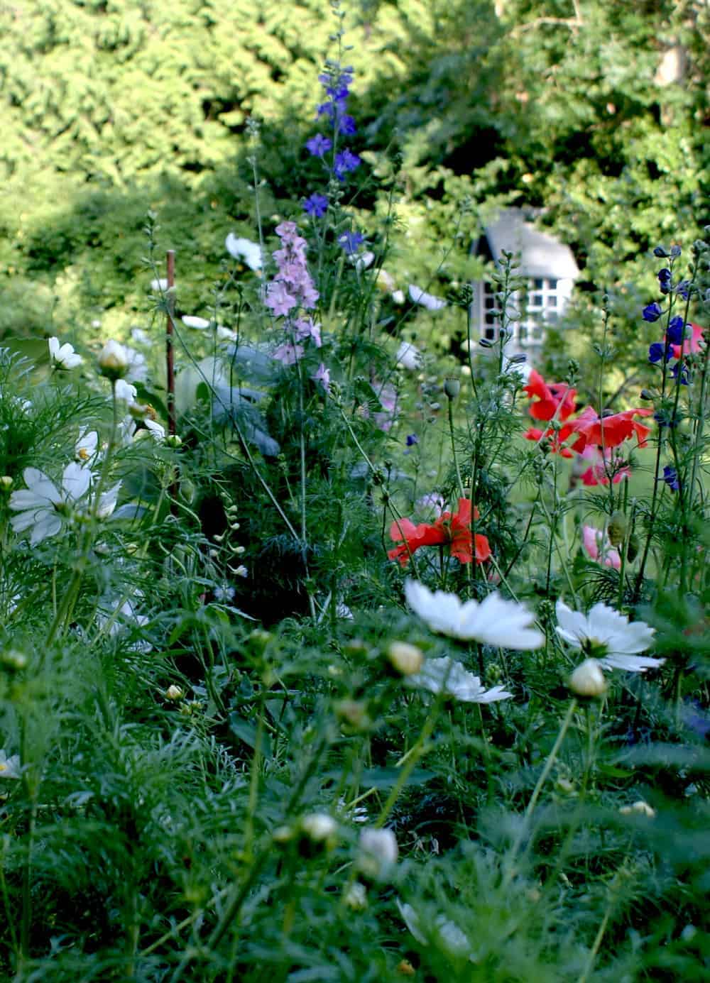How to start a flower cutting garden From Britain with Love