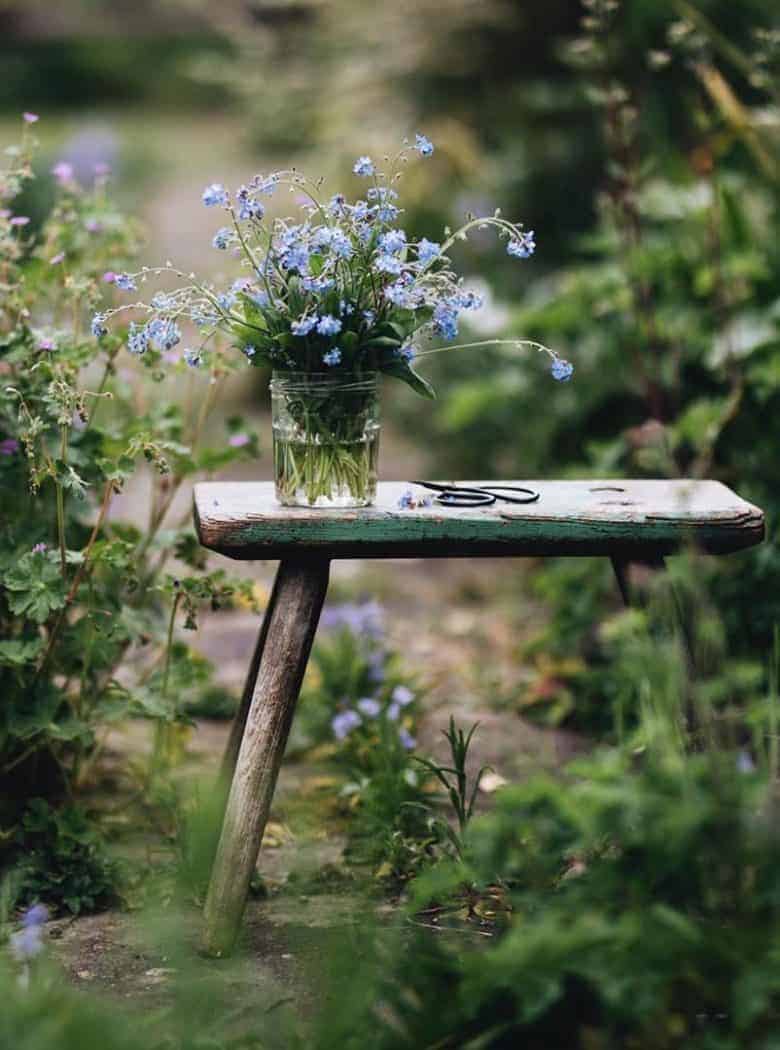 flower photography course eva nemeth #photography #workshop #flower #garden #frombritainwithlove