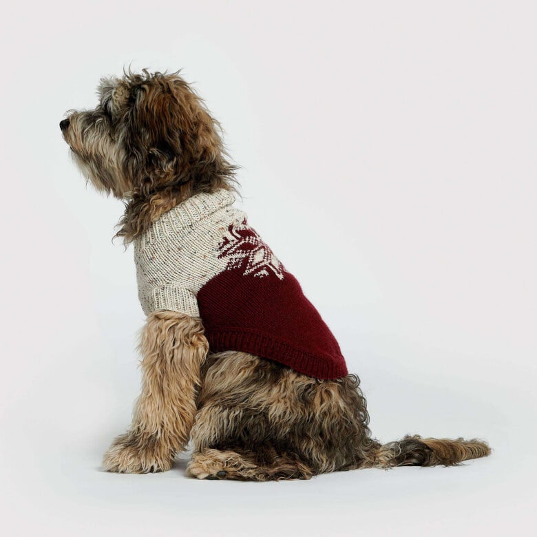 fair isle christmas jumper for dogs free knitting pattern