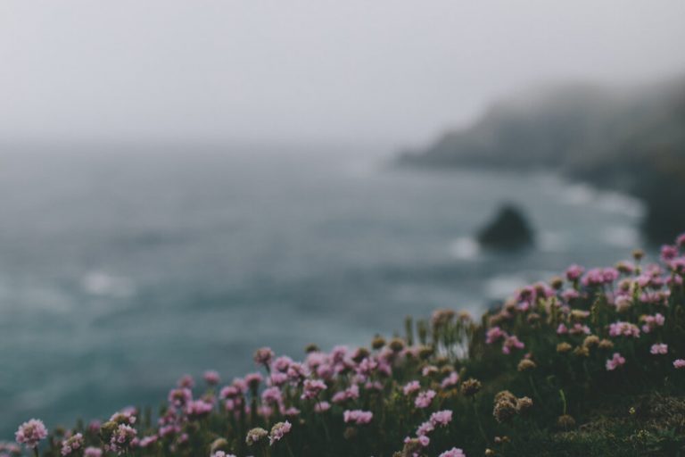 laura pashby 2 768x512