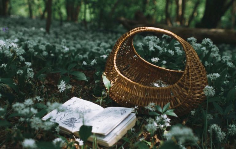 laura pashby little stories 768x486