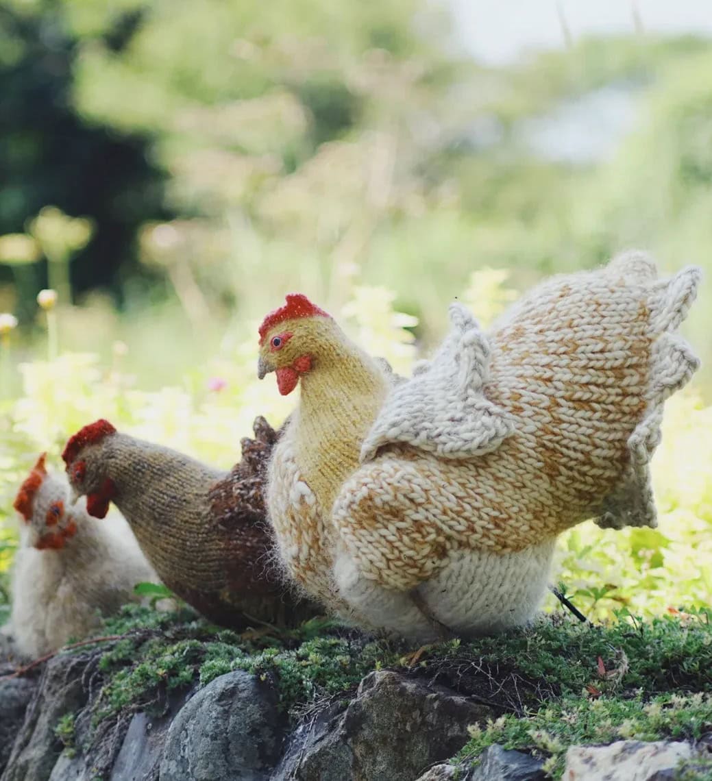 hen chicken knitting pattern by claire garland
