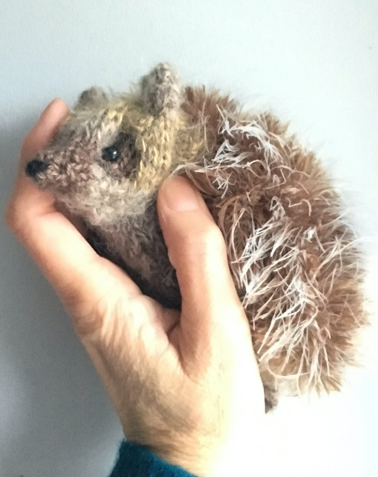 hedgehog free toy knitting pattern by claire garland