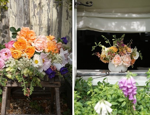 cottage garden roses - 5 of the most beautiful chosen by rosebie morton of the real flower company
