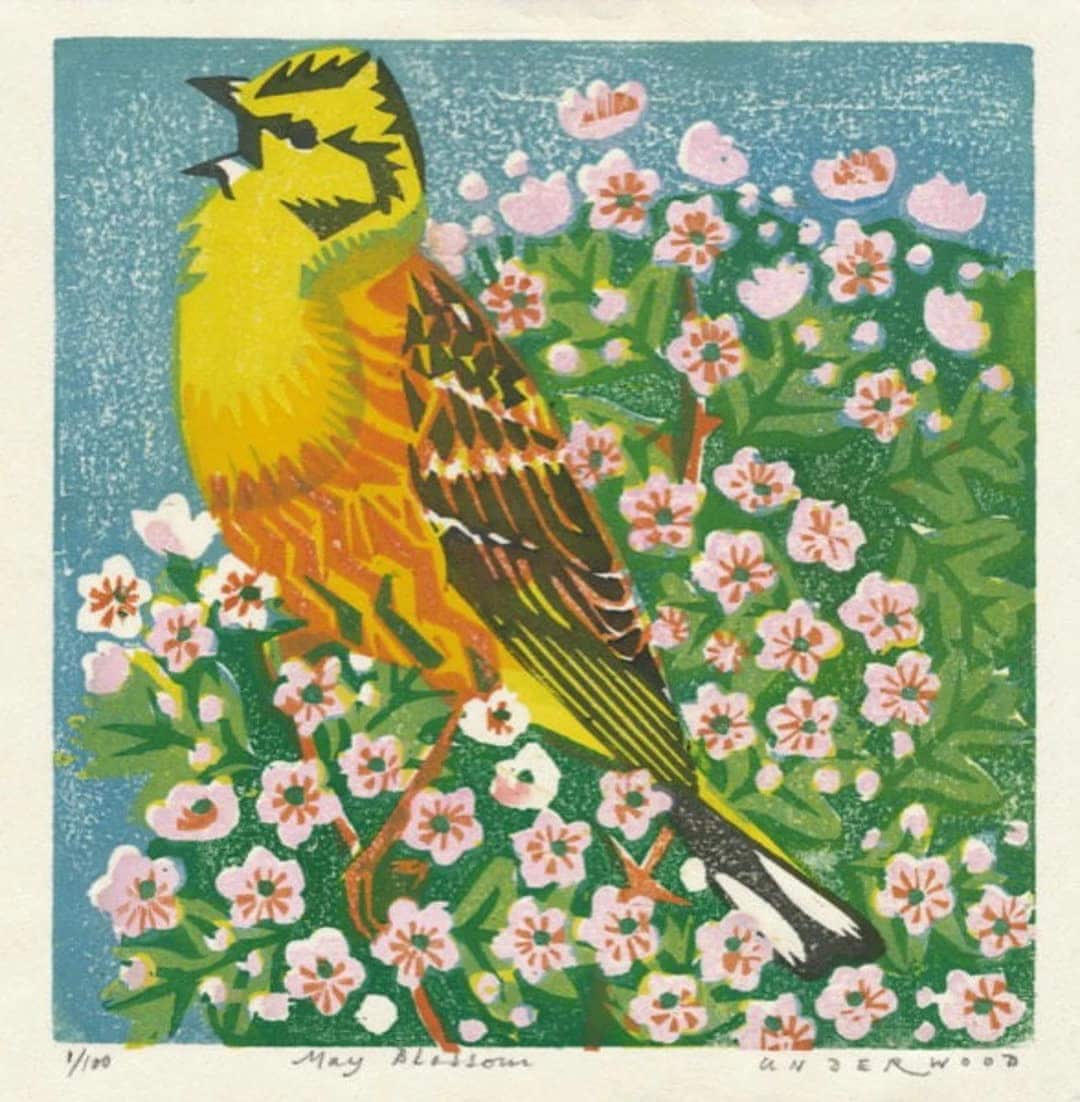 cherry blossom yellow hammer garden bird woodblock print