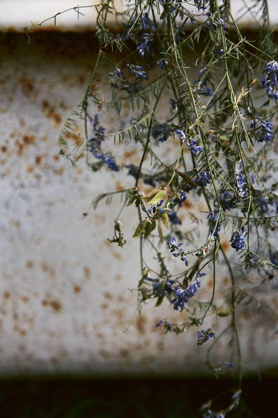 dried flower fabric wall hanging tutorial