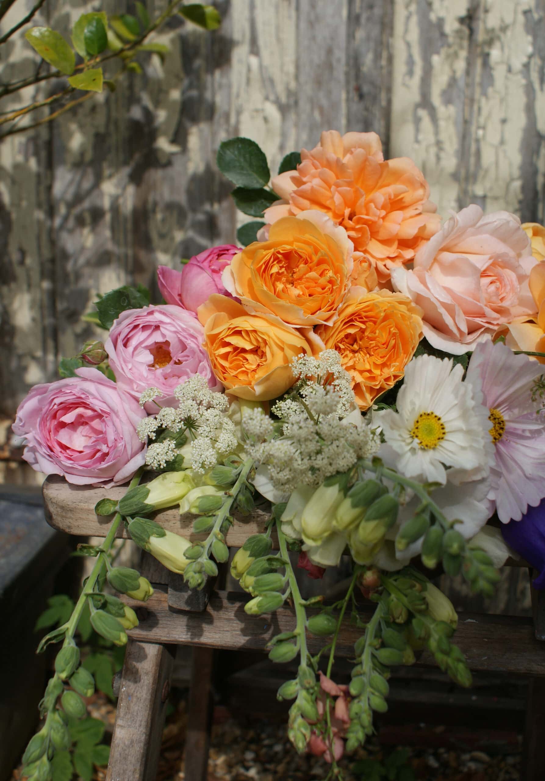 How to keep roses alive forever preserving flowers From Britain with Love