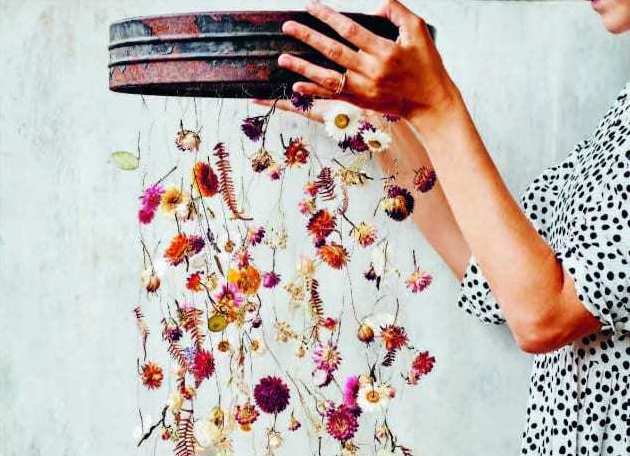 botanical tales dried flowers