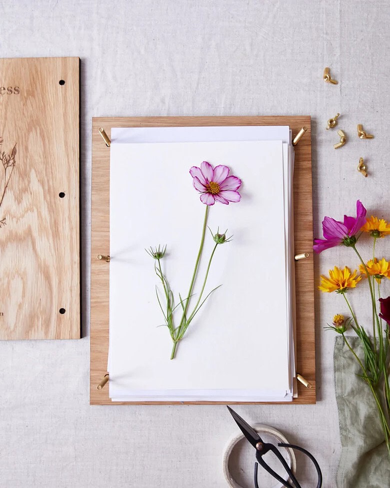 how to press flowers jamjar flowers
