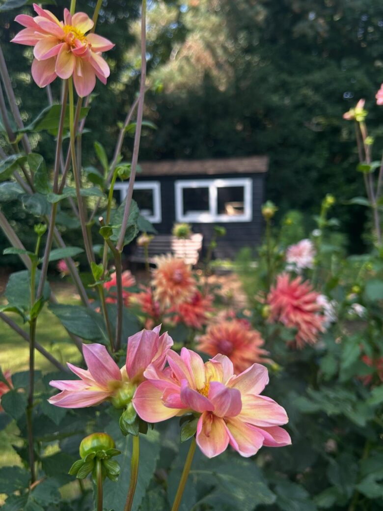 how to plant a flower cutting garden