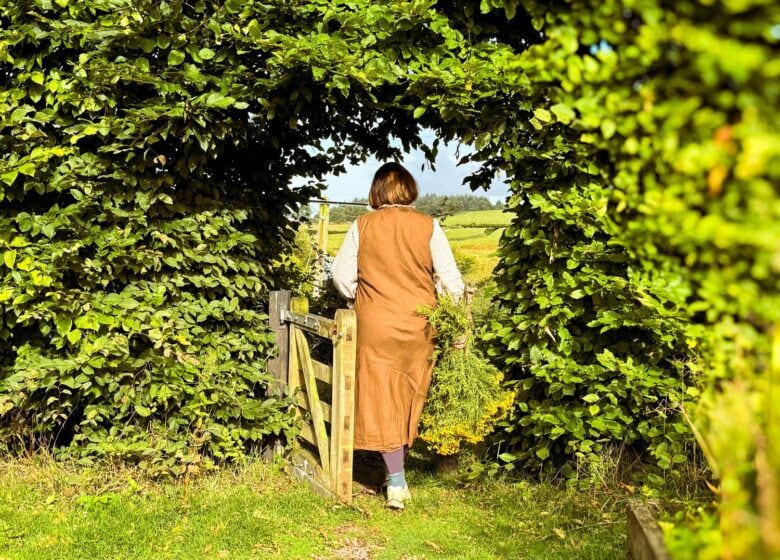 jane lindsey snapdragon life