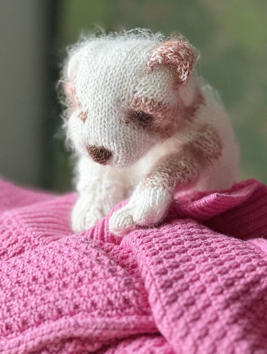 puppy dog soft toy free knitting pattern by claire garland aka dot pebbles knits