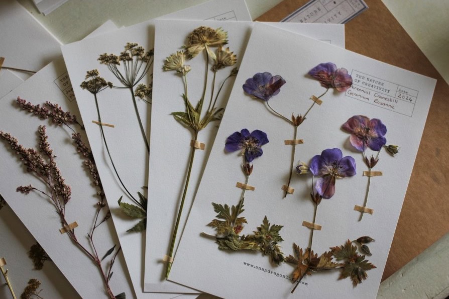 snapdragon life creative courses