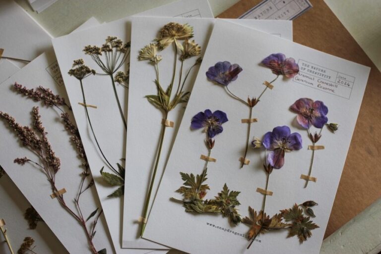 snapdragon life 768x513