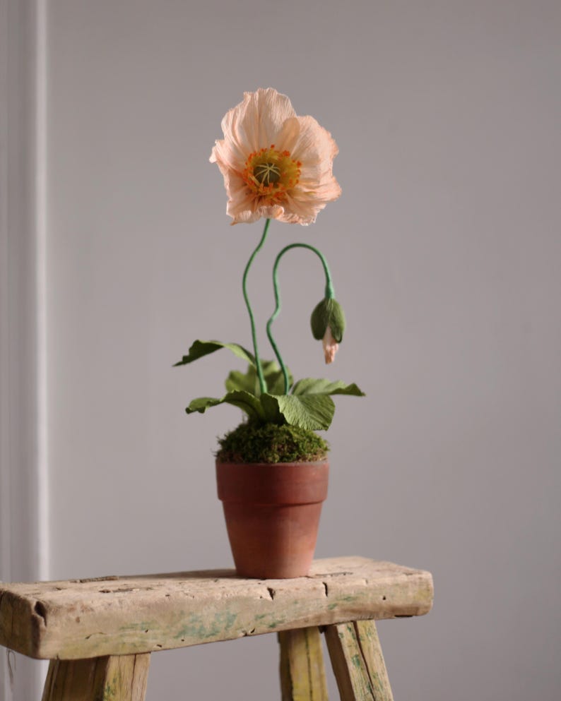 icelandic poppy paper by blooms by beam on etsy