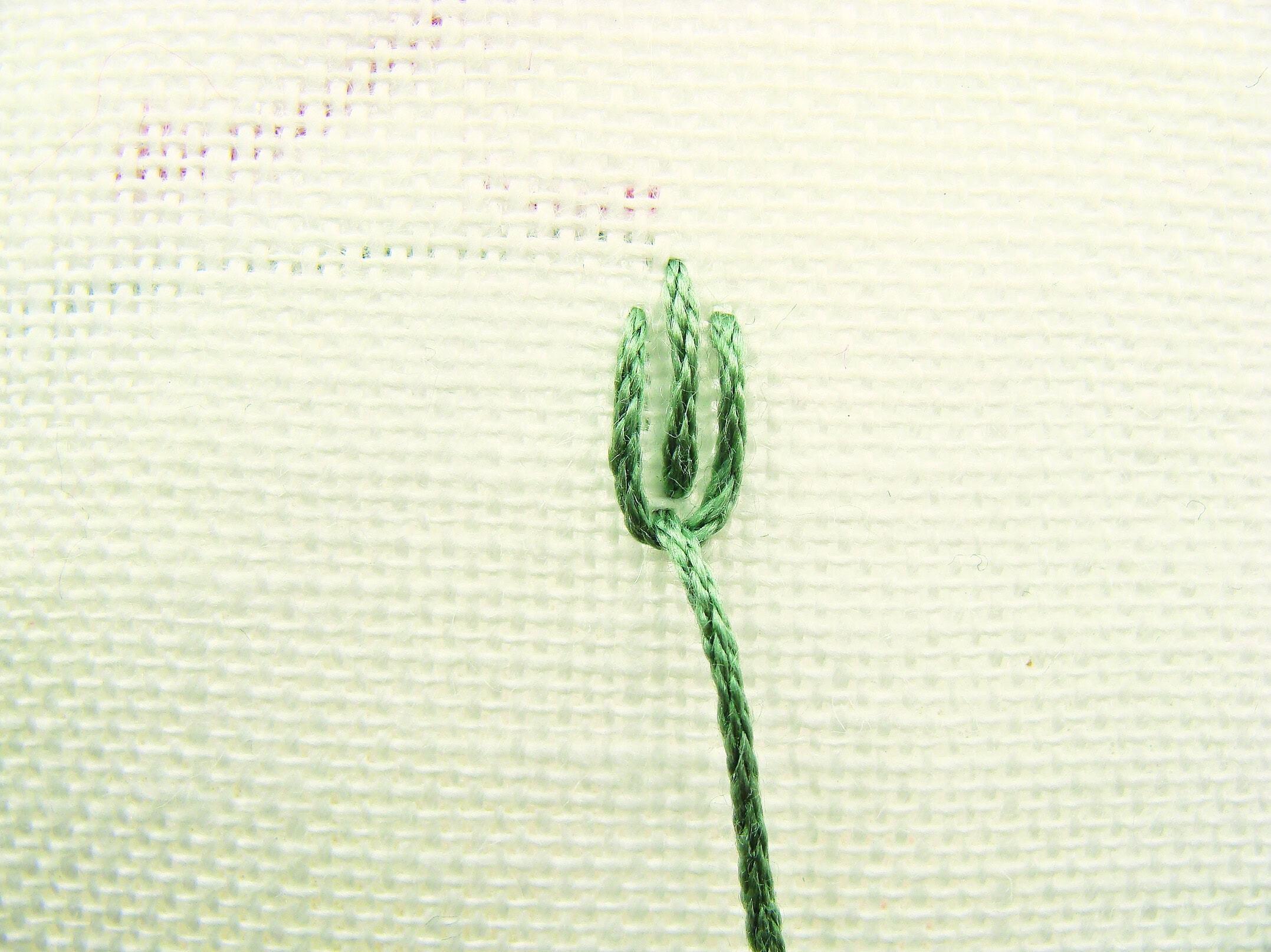 fly stitch step 2: Come up inside the loop made in step 1