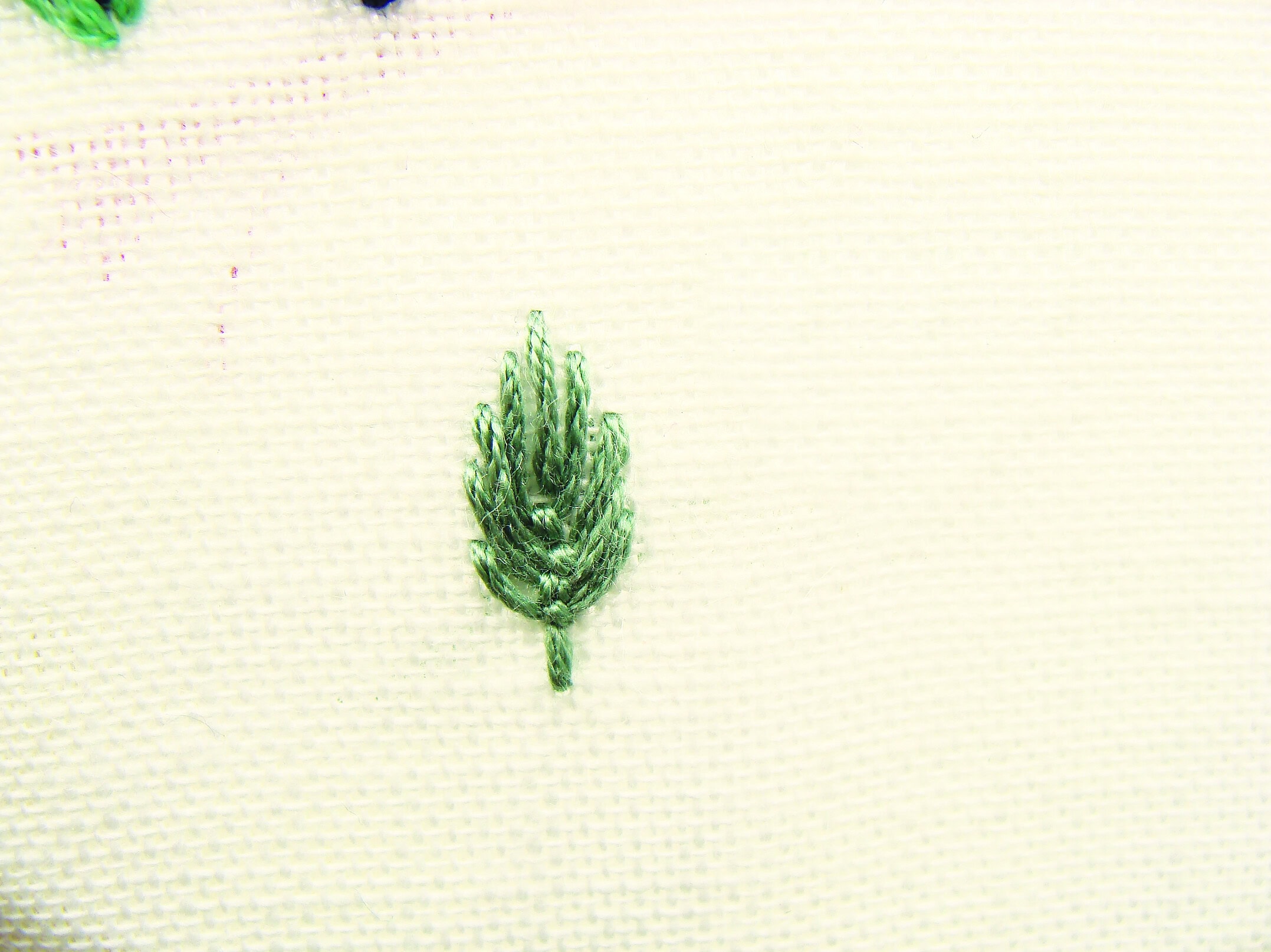 fly stitch step 4: make the very last tying stitch longer to resemble the stalk of the leaf.