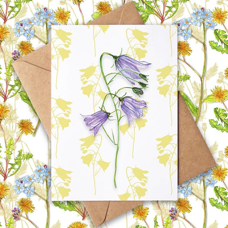 rachel reynolds bluebell card
